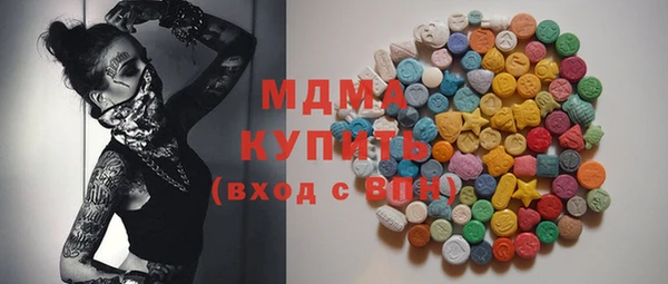 гашик Алексин