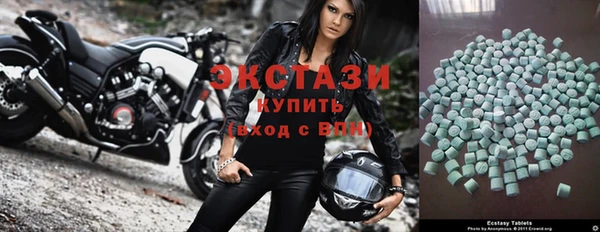 гашик Алексин