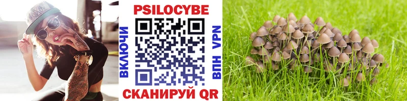 Псилоцибиновые грибы Psilocybe  наркота  Райчихинск 